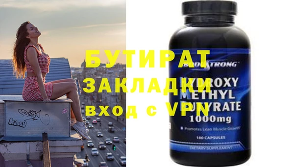 индика Каменка