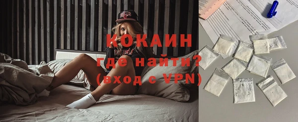 Альфа ПВП Инсар