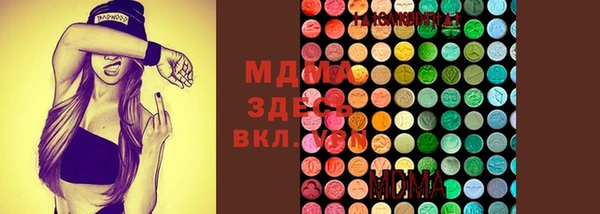 твердый Инта