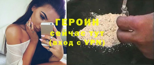 индика Каменка