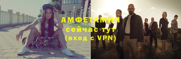 твердый Инта