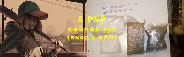 твердый Инта