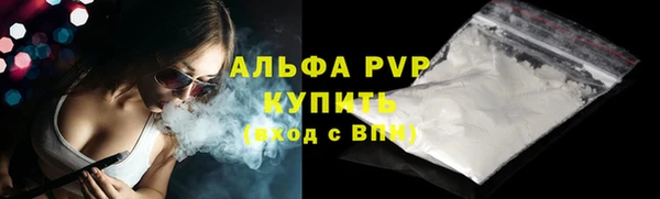 твердый Инта