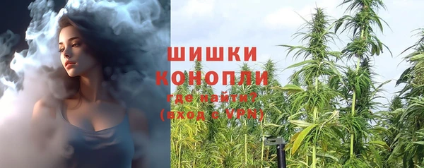 Альфа ПВП Инсар