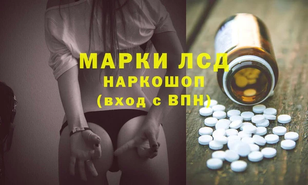 твердый Инта