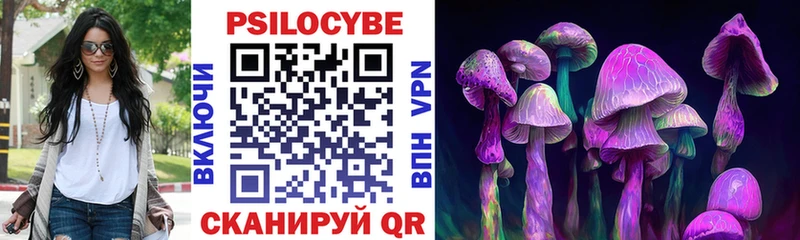 Галлюциногенные грибы Cubensis  Купить закладки  Богородицк 